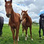 Mazury - Jezioro *