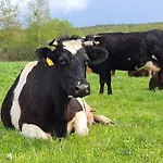 Mazury - Jezioro *