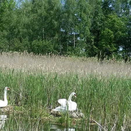 Mazury - Jezioro