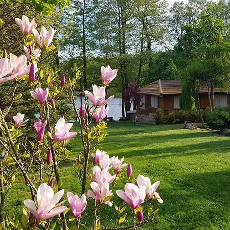 度假居 Mazury - Jezioro