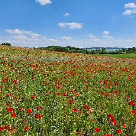 Mazury - Jezioro Дом отдыха Ожиш