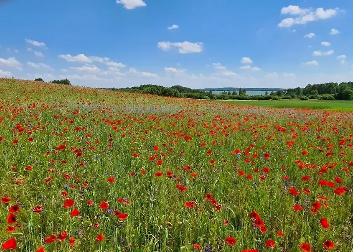 Mazury - Jezioro Ferienhaus Orzysz